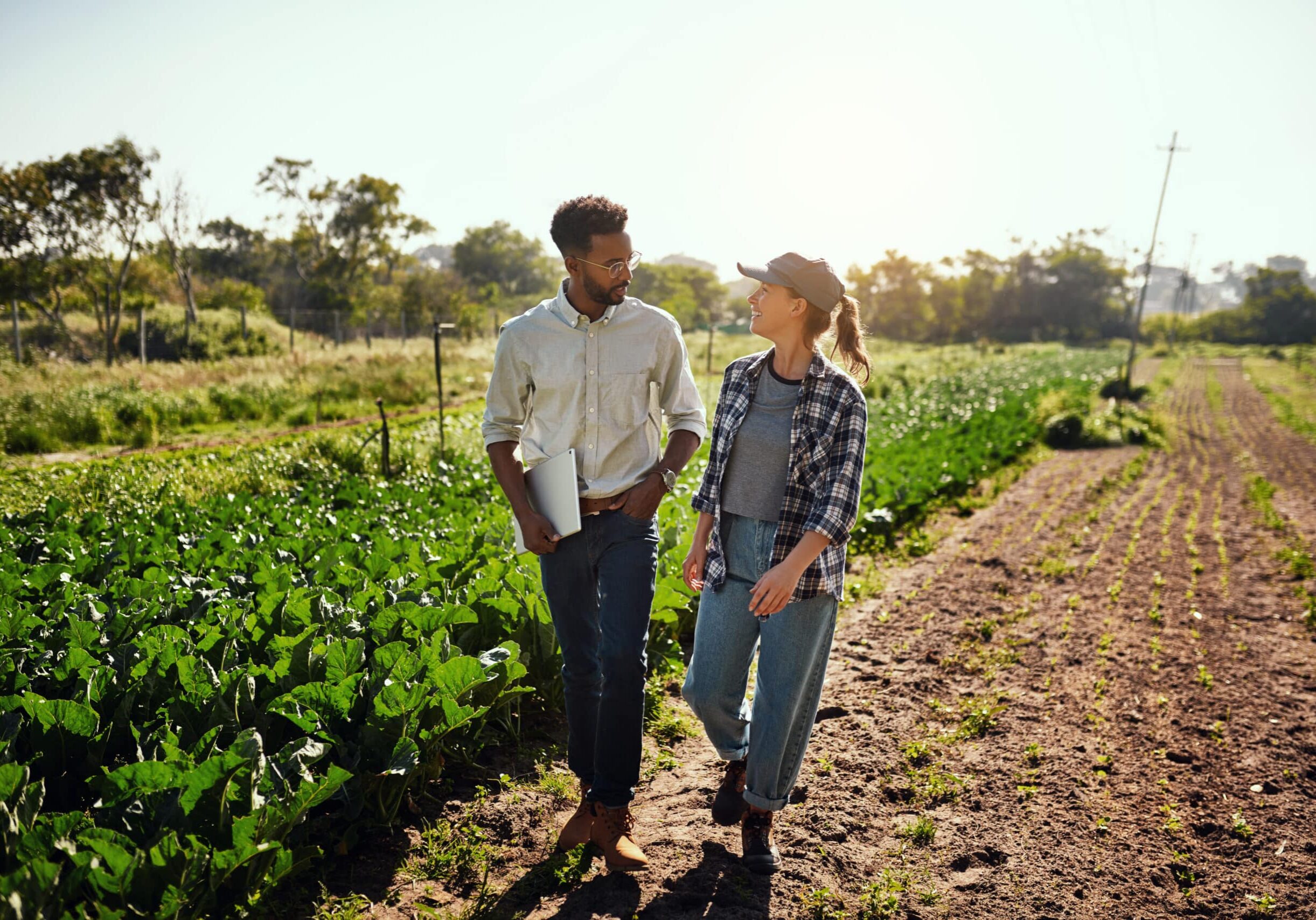 Agriculture Manager And Farmer Meeting, Talking And Discussing While Walking On A Farm Outside. Planning Strategy For Harvest Season In An Eco Friendly, Organic And Sustainable Farming Industry